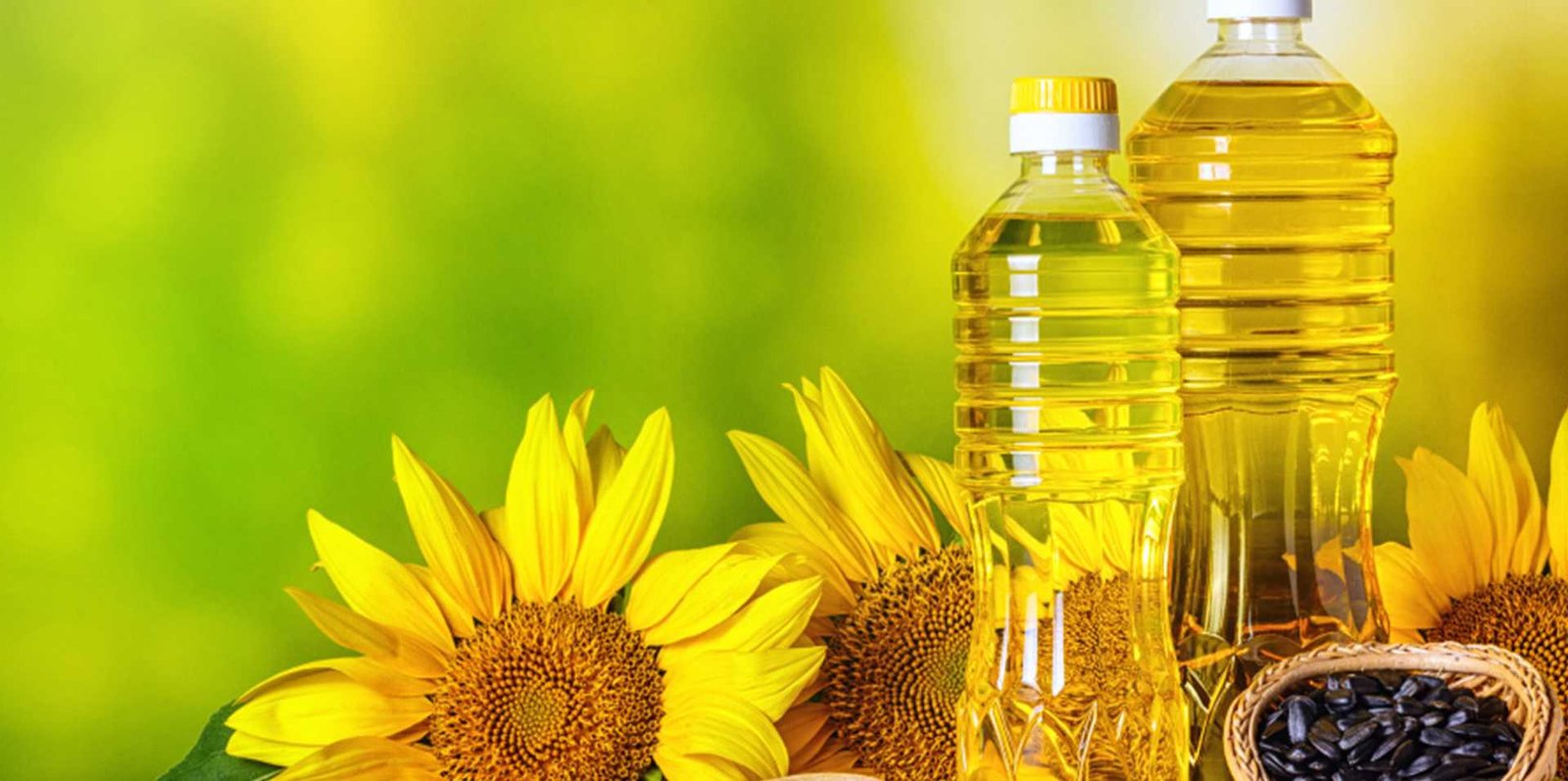 Edible Oil Manufacturers in Thailand