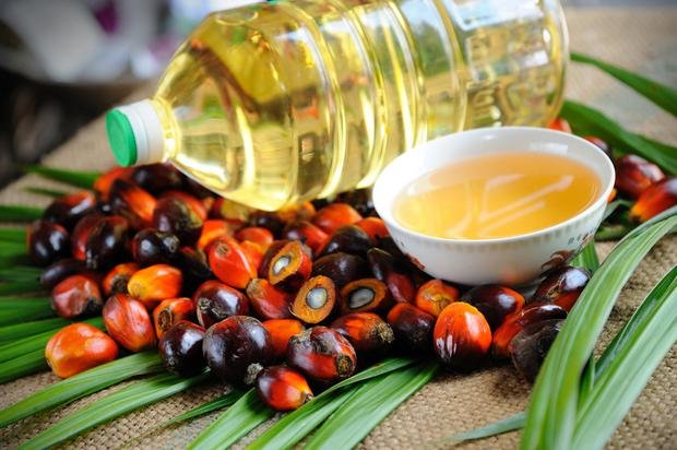 palm oil manufacturers